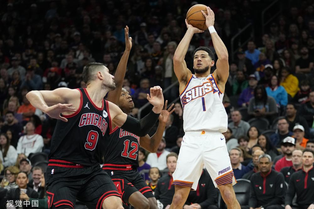 每一片叶子 每一片叶子